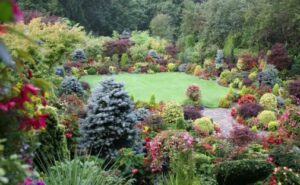 7 Простых шагов для успешного сада