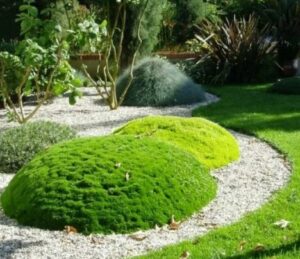 Радость ландшафтного дизайна