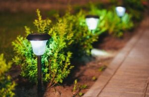 Советы по освещению вашего сада